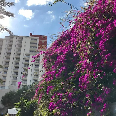 Mit Blick Auf Wasser By Interhome Apartmán