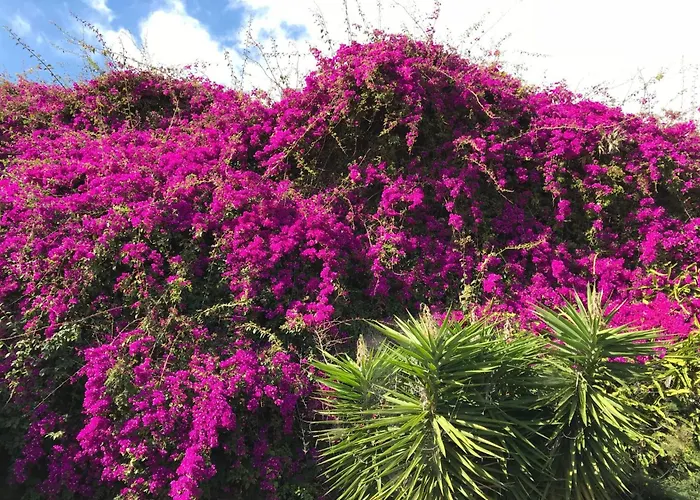 Διαμέρισμα Mit Blick Auf Wasser By Interhome